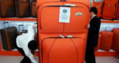 «Аэрофлот» привез туристов в Гоа без багажа